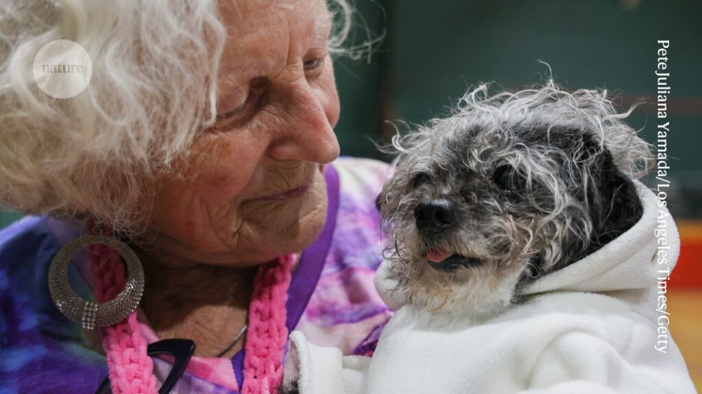 Can Science Help Your Dog Live Longer? The Pet Longevity Boom Explained Can Science Help Your Dog Live Longer The Pet Longevity