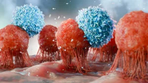Cancer-fighting T cells burn out: Scientists discover potential solution Cancer fighting T cells burn out Scientists discover potential solution
