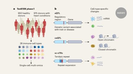 Cell Type Specific Genetic Mutations That Alter Gene Regulation and Drive Disease