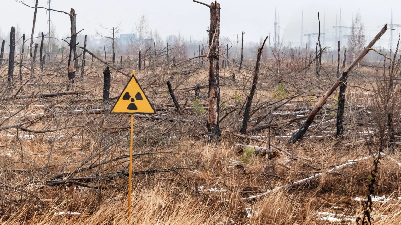 Chernobyl Nuclear Fallout Defies Expectations 40 Years Later