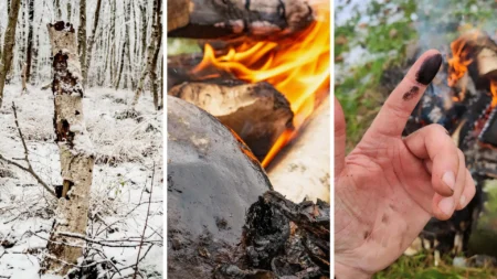 Did Neanderthals Use Prehistoric Glue as an Ancient Antibiotic