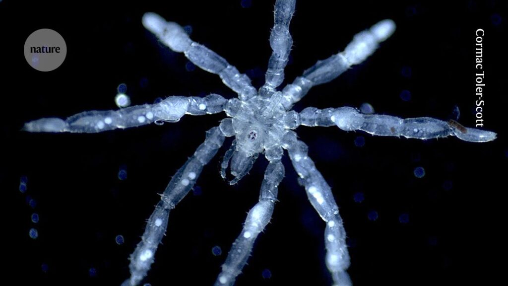 Discover 4 uplifting science stories that will make your day