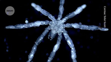 Discover 4 uplifting science stories that will make your day