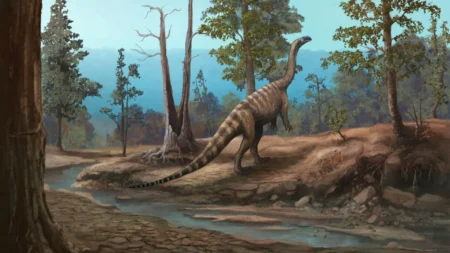 Discovery of Dinosaurs from 210 Million Years Ago Reveals Lost