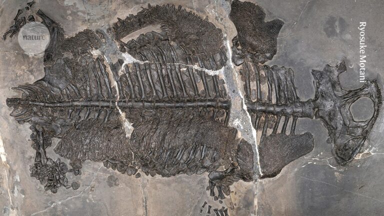 Evolutionary Game Changer: Strange Armored Amphibians from Ancient Oceans Revealed Evolutionary Game Changer Strange Armored Amphibians from Ancient Oceans Revealed