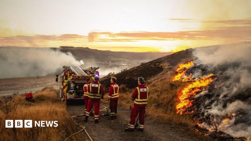 Firefighters risking their lives in summer wildfires