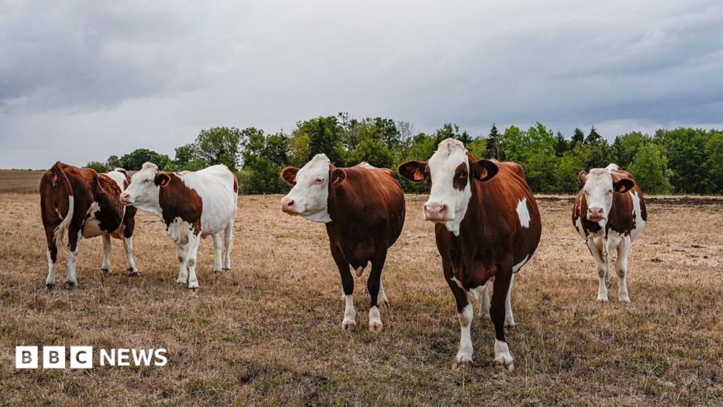 First case of Chamonda virus detected in France announced by