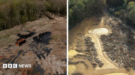 Hoads illegal timber waste supersite finally cleared at cost of £15m Hoads illegal timber waste supersite finally cleared at cost of