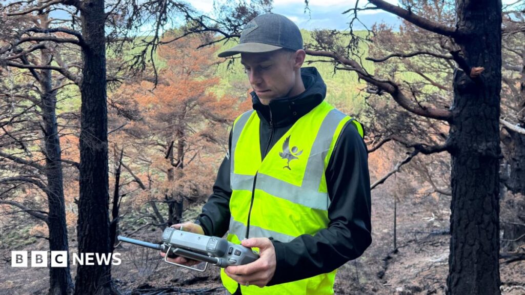 How Drones Search for Fires Hidden Beneath the Cairngorms
