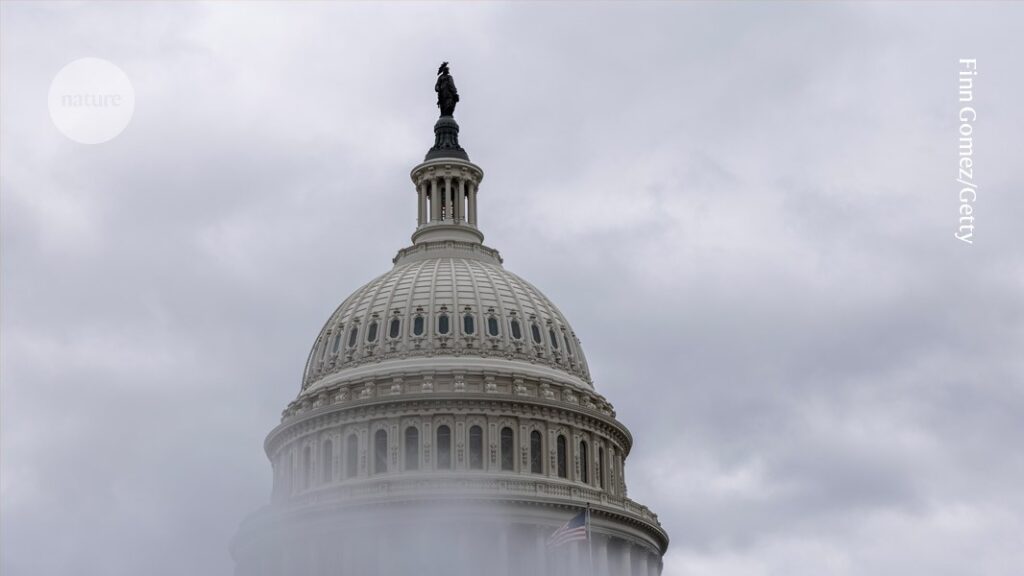 How US Midterm Elections Could Impact Science Policy and Research