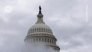 How US Midterm Elections Could Impact Science Policy and Research