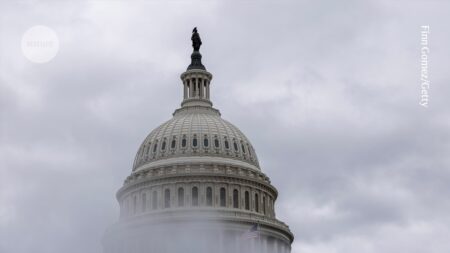 How US Midterm Elections Could Impact Science Policy and Research