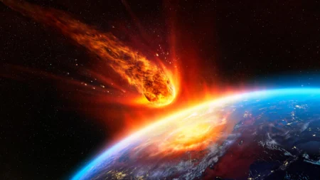 How the Asteroid That Wiped Out the Dinosaurs Helped Ants
