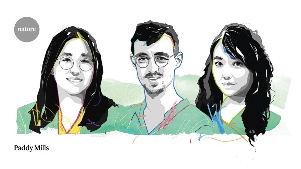 Hydrogels and MRI How three biomedical engineers are transforming healthcare