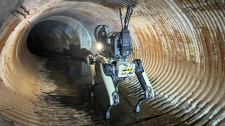 ICE Plans to Buy Robot Dogs Sparking Protests From Hundreds