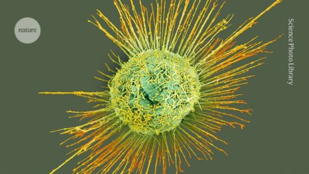 Influenza Epidemic Could Start Incredibly Quickly What Scientists Are Paying