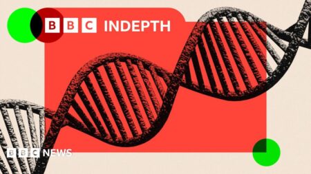 Mathematics Breakdown Raises Concerns About AI Undermining Scientific Research