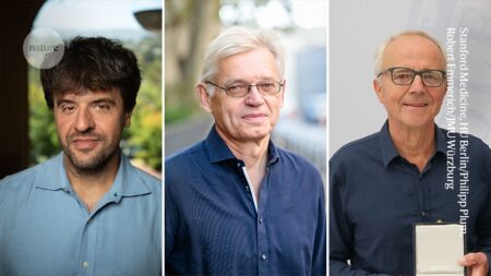 Medical Nobel Prize awarded for brain switch that controls neurons