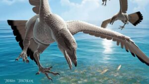 New Enantiornithine Bird Joins Australias Sparse Fossil Record New Enantiornithine Bird Joins Australias Sparse Fossil Record
