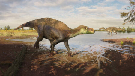 New Iguanodon Dinosaur Species Discovered in the UK