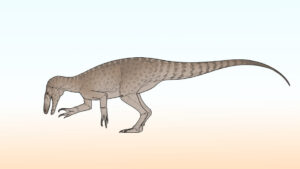 New Predatory Dinosaur Species Confirmed in Argentina New Predatory Dinosaur Species Confirmed in Argentina