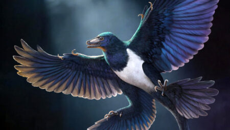 New Species of Feathered Dinosaur Suggests Flight Evolution Among Bird Relatives New Species of Feathered Dinosaur Suggests Flight Evolution Among Bird