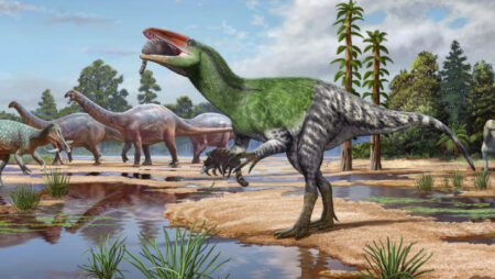 New species of predatory dinosaur confirmed in UK