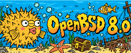 OpenBSD 80 security records intact