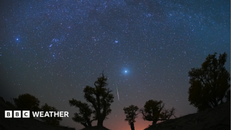 Orionid Meteor Shower Peak: How to See It This Week Orionid Meteor Shower Peak How to See It This Week