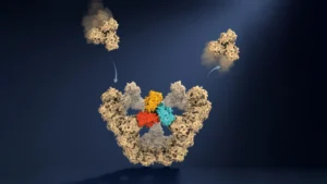 Oxford Scientists Discover How Viruses Build Themselves Without a Blueprint