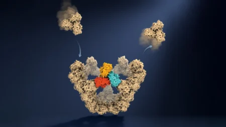 Oxford Scientists Discover How Viruses Build Themselves Without a Blueprint Oxford Scientists Discover How Viruses Build Themselves Without a Blueprint