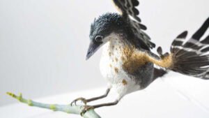 Paleontologists Reconstruct Cretaceous Birds in Stunning Detail from Fossil Evidence