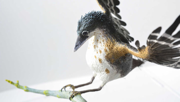 Paleontologists Reconstruct Cretaceous Birds in Stunning Detail from Fossil Evidence Paleontologists Reconstruct Cretaceous Birds in Stunning Detail from Fossil Evidence