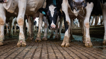 Pediatricians urge ban on raw milk as anti scientific discourse grows