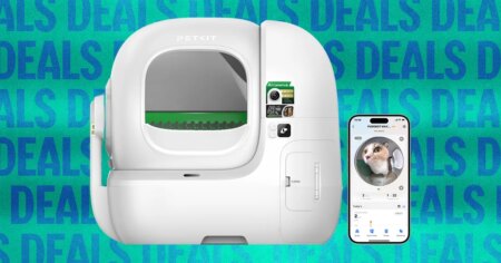 Pet Kit Automatic Cat Toilet for Sale 2026 Self Cleaning