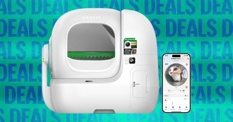 Pet Kit Automatic Cat Toilet for Sale 2026 Self Cleaning