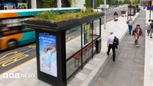 Peterborough Bus Station Rooftop Mini Garden for Bees Approved