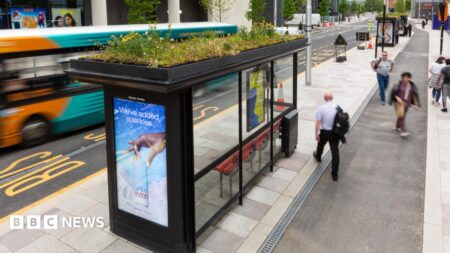 Peterborough Bus Station Rooftop Mini Garden for Bees Approved