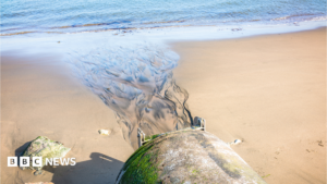 Report reveals over 800000 hours of sewage spilled in Wales