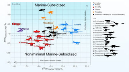Research Suggests Dinosaurs May Have Eaten Seaweed Research Suggests Dinosaurs May Have Eaten Seaweed