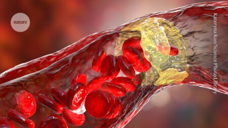 Revealed The role of gut microbe in protecting against heart