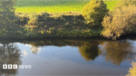 River Taff Fuel Pollution Spreads 41 Miles from Taff Swell