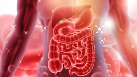 Scientists Uncover 30 Year Mystery Behind Inflammatory Bowel Disease IBD