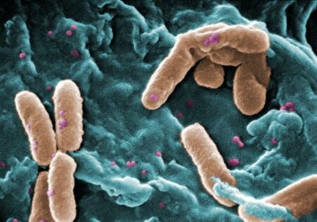 Scientists discover compound that neutralizes drug-resistant bacteria Scientists discover compound that neutralizes drug resistant bacteria