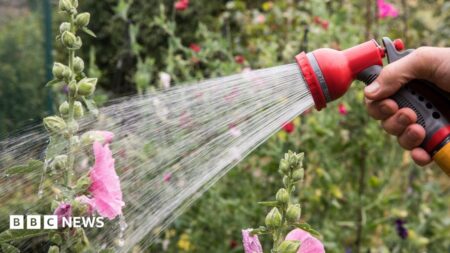 Severe Drought and Hose Ban: Is Your Area Affected? Severe Drought and Hose Ban Is Your Area Affected