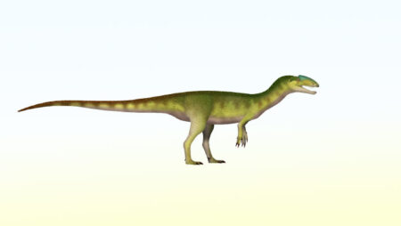 Single vertebra suggests the oldest Iberian dinosaur