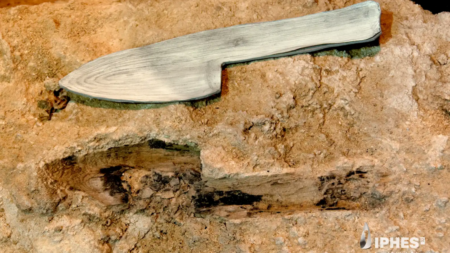 Spanish Neanderthal Wooden Tools Discovered Preserved in Stone Spanish Neanderthal Wooden Tools Discovered Preserved in Stone