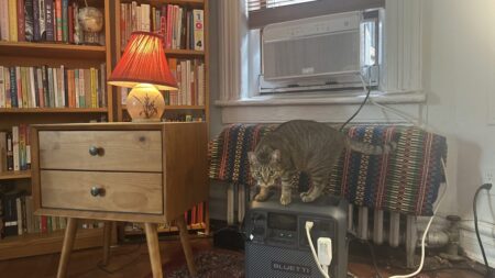 Staying Cool with NYCs Window Air Conditioner Battery Program