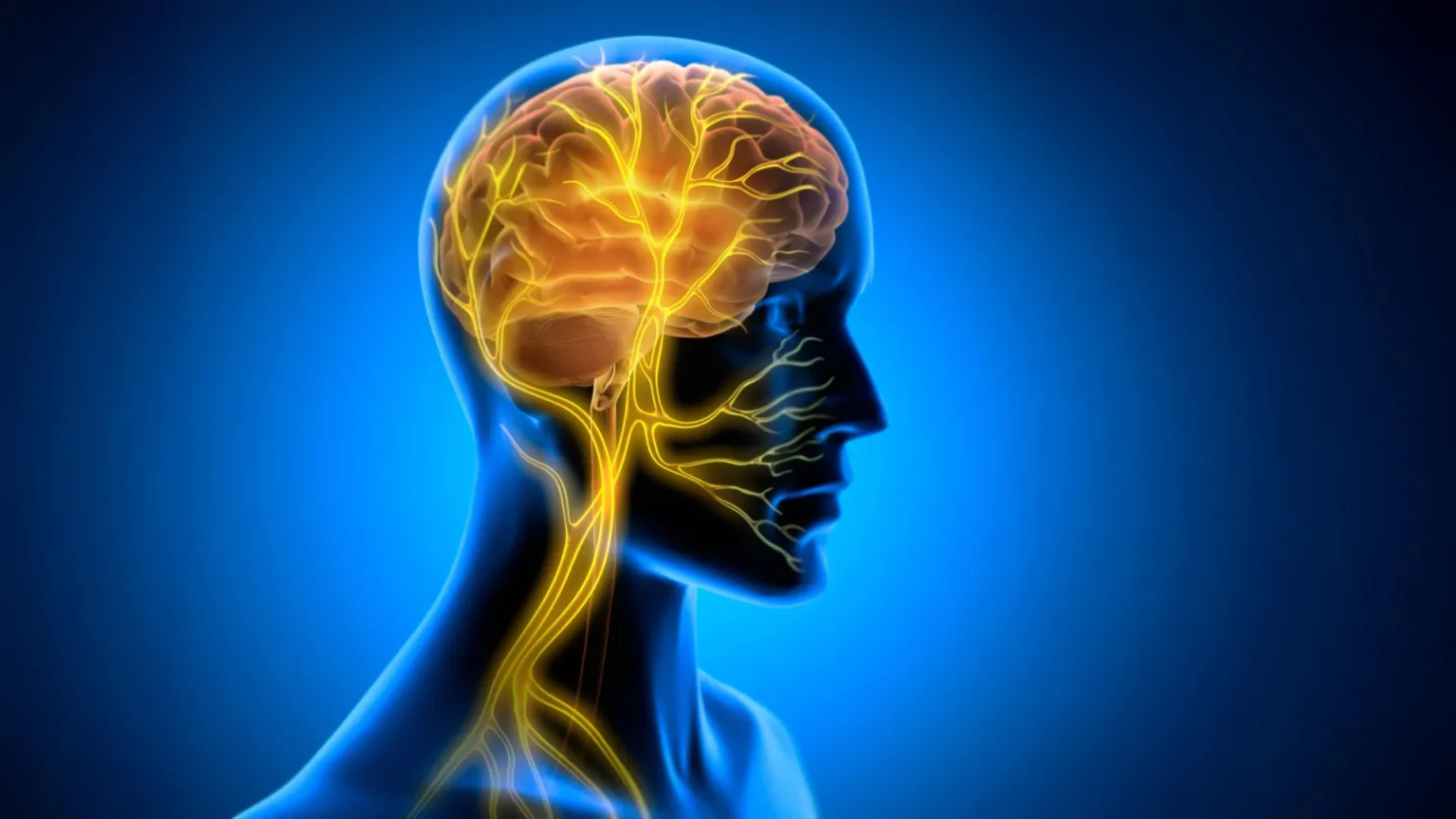 Stimulating the Vagus Nerve for Developing New Skills Stimulating the Vagus Nerve for Developing New Skills