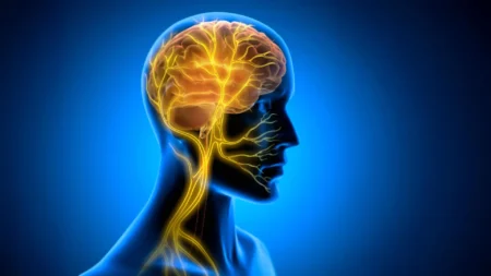 Stimulating the Vagus Nerve for Developing New Skills